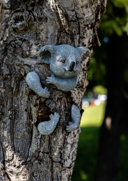 Koala Tree Peeker