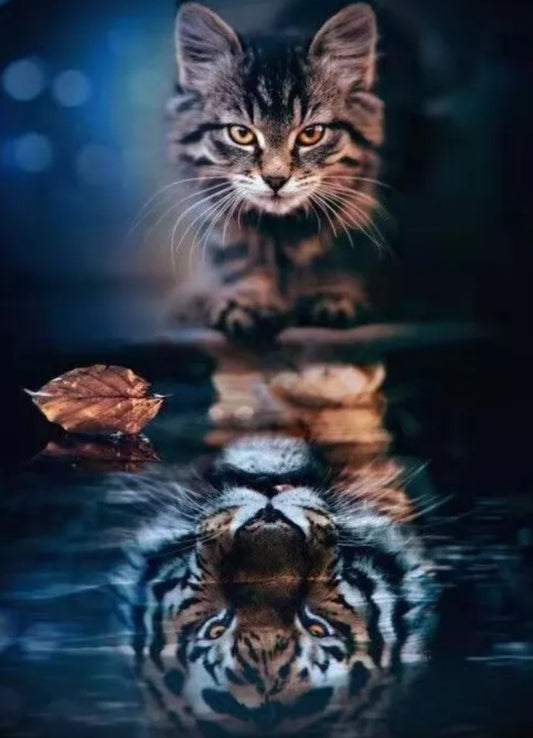 Cat Reflection Tiger Diamond Painting