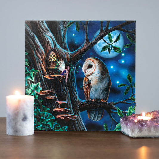 Fairy Tales Light Up Canvas Plaque