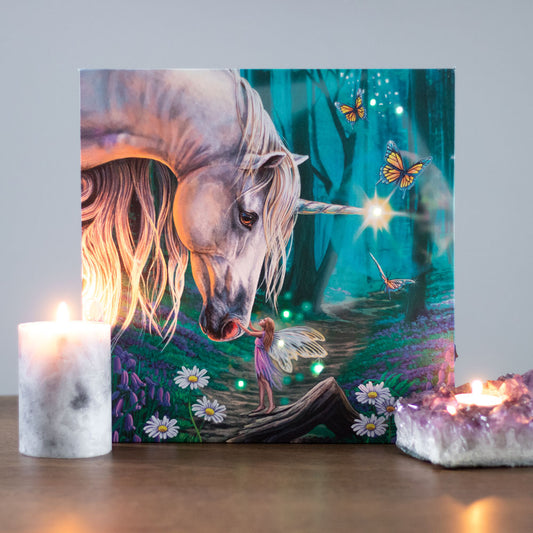 Fairy Whispers Light Up Canvas Plaque